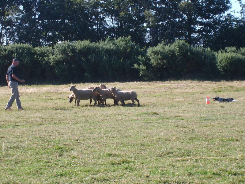 Eden park blue star du Masque Noir de Vandrimare