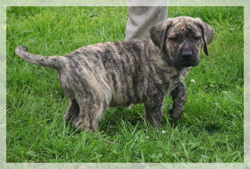 Publication : Du Jardin De Naomi Auteur : lomanski