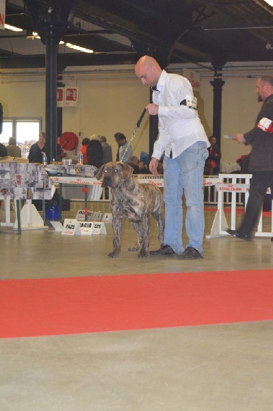 Heasy du Temple d'Akhâra - 1 ERE EXCELLENT-RCACS