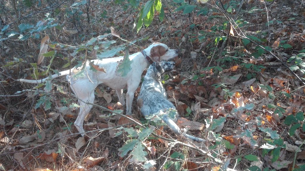 Publication : de Neyanc Auteur : DE NEYANC