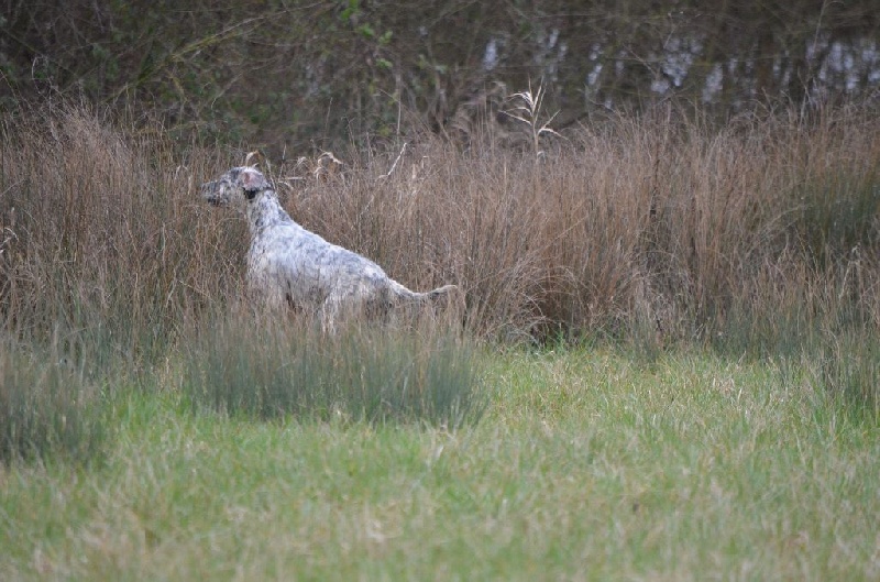 Publication : de Neyanc Auteur : DE NEYANC