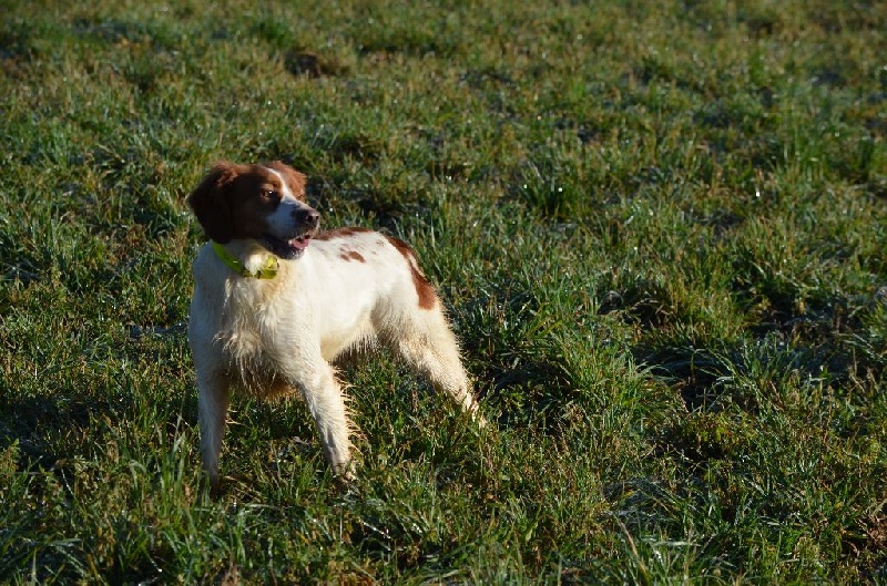 Publication : de Neyanc