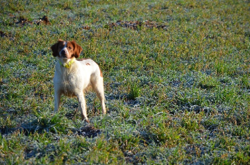 Publication : de Neyanc