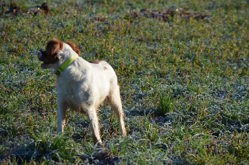 Publication : de Neyanc