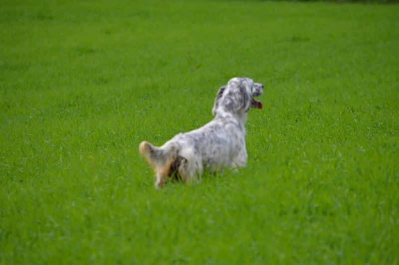 Publication : de Neyanc Auteur : DE NEYANC