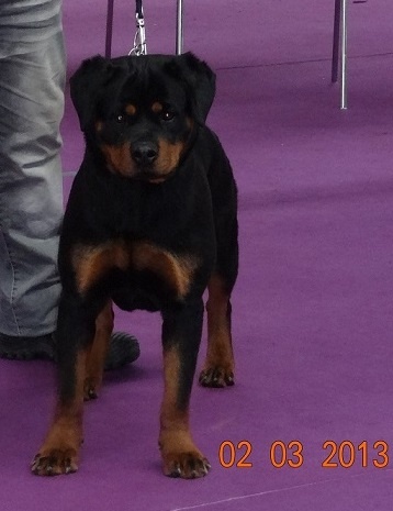 Harmonie des Ops de Lif Thraser - Très Bon / Classe Jeune