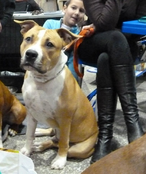 Hector of Mont Mesly Squad