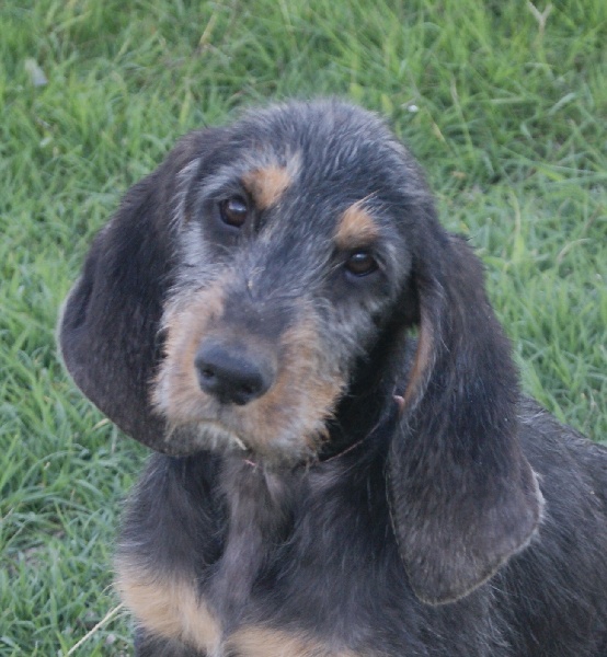 Publication : du roc d'Eden Auteur : Sylvie Hebert