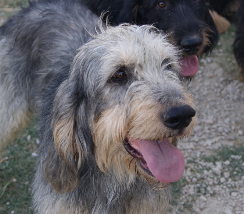 Publication : du roc d'Eden Auteur : Sylvie Hebert