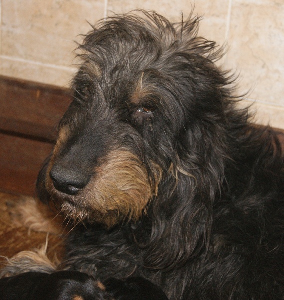 Publication : du roc d'Eden