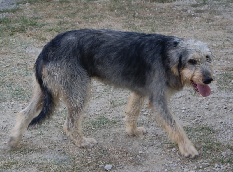 Publication : du roc d'Eden Auteur : Sylvie Hebert