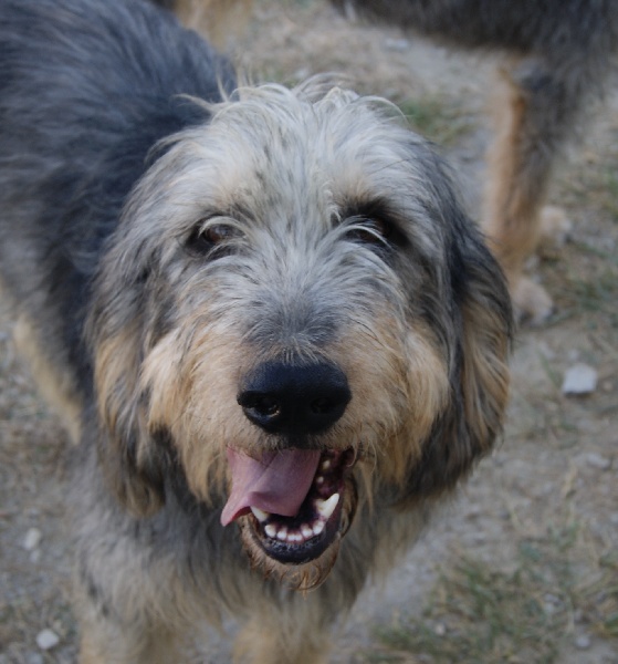 Publication : du roc d'Eden Auteur : Sylvie Hebert