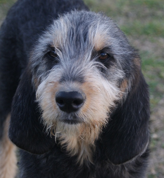 Publication : du roc d'Eden Auteur : Sylvie Hebert