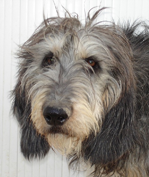 Publication : du roc d'Eden Auteur : Sylvie Hebert