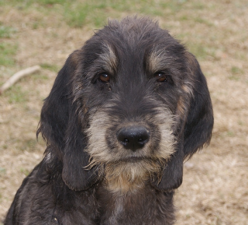 Publication : du roc d'Eden Auteur : Sylvie Hebert