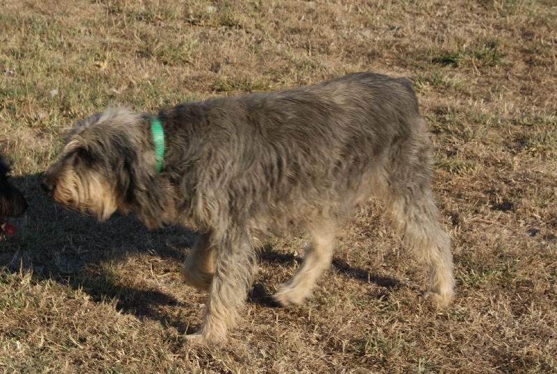 Publication : du roc d'Eden Auteur : Sylvie Hebert