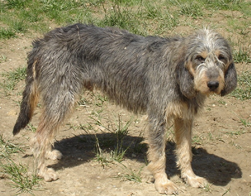 Publication : du roc d'Eden Auteur : Sylvie Hebert