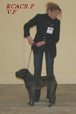 Publication : du roc d'Eden Auteur : Studio O. D'Auria