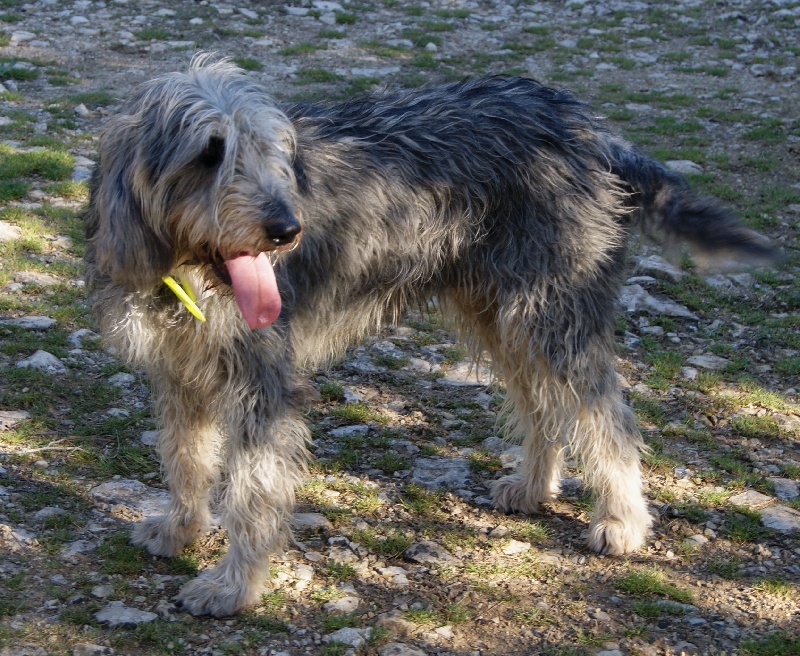 Publication : du roc d'Eden Auteur : Sylvie Hebert