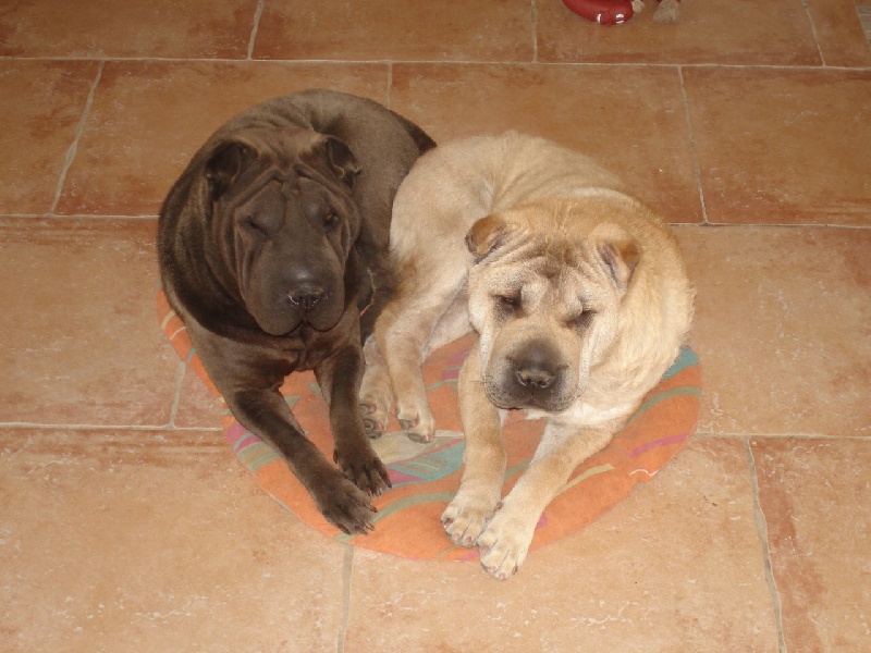 Publication : du roc d'Eden