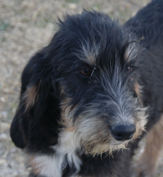 Publication : du roc d'Eden Auteur : Sylvie Hebert