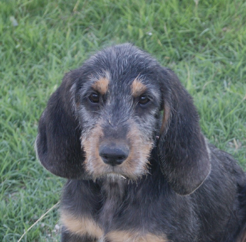 Publication : du roc d'Eden Auteur : Sylvie Hebert