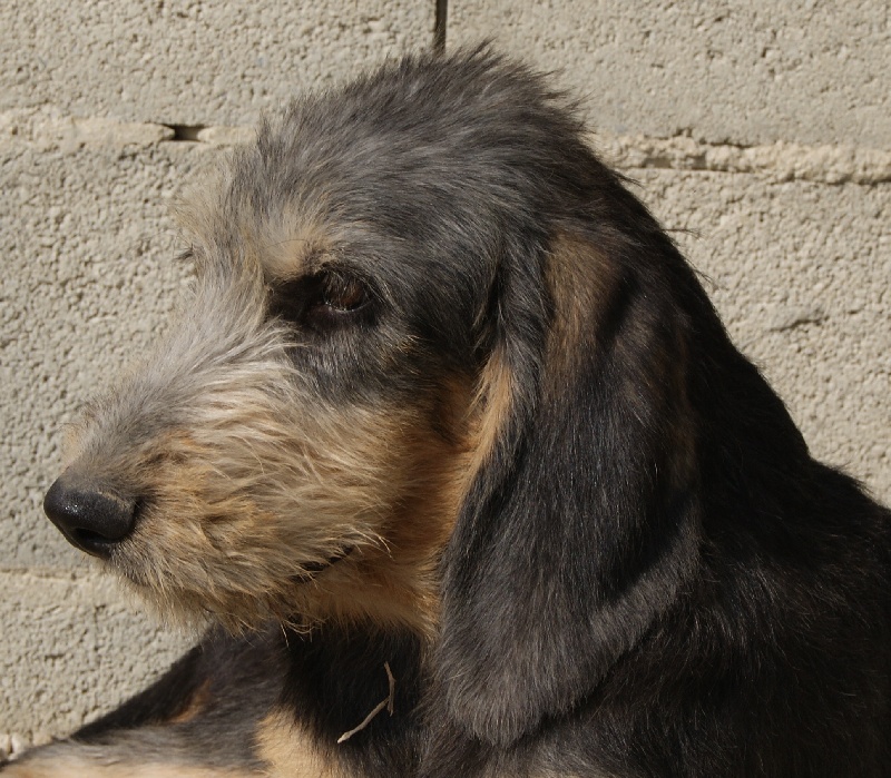 Publication : du roc d'Eden Auteur : Sylvie Hebert