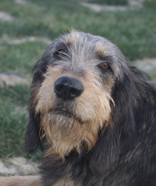 Publication : du roc d'Eden Auteur : Sylvie Hebert