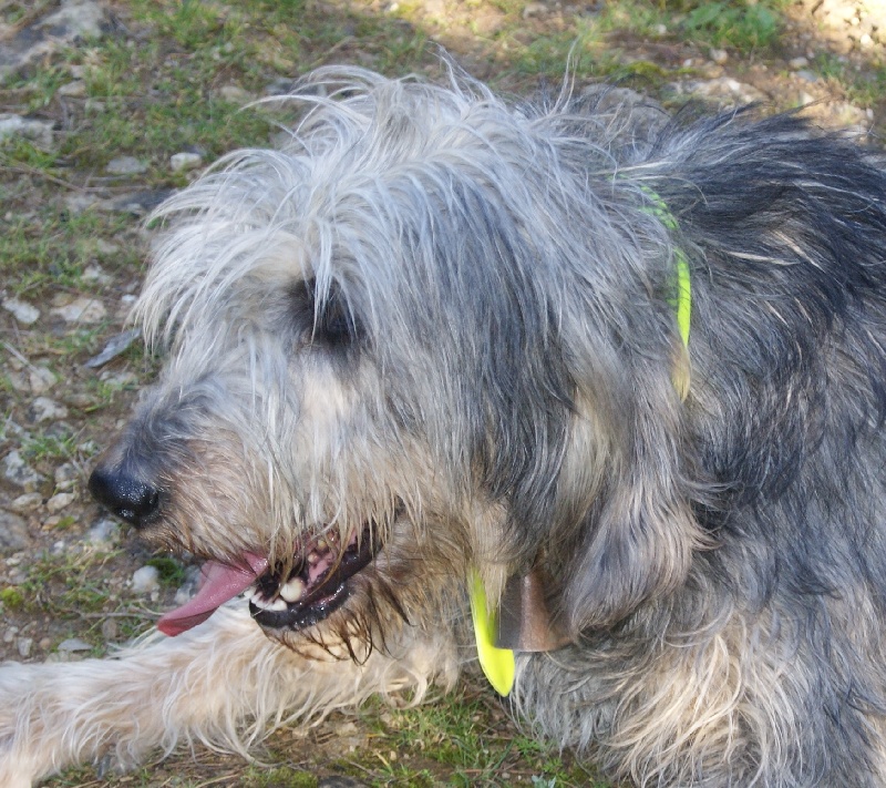 Publication : du roc d'Eden Auteur : Sylvie Hebert