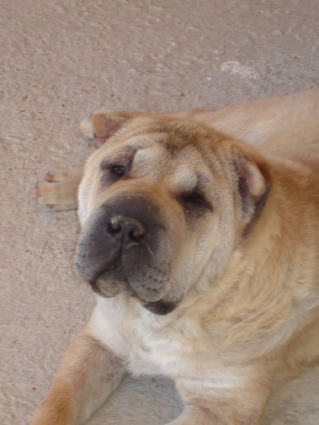 Publication : du roc d'Eden