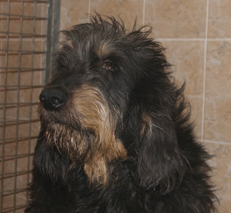 Publication : du roc d'Eden