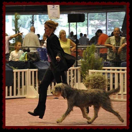 Publication : du roc d'Eden Auteur : Sylvie Hebert