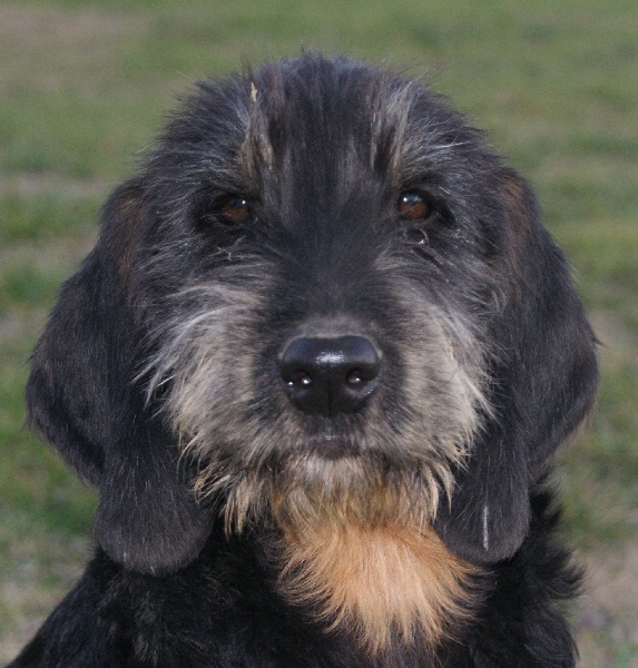 Publication : du roc d'Eden Auteur : Sylvie Hebert