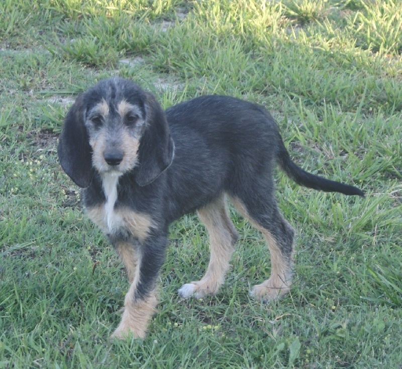 Publication : du roc d'Eden Auteur : Sylvie Hebert