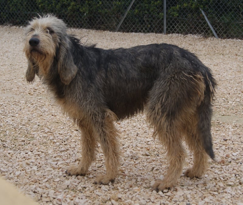 Publication : du roc d'Eden Auteur : Sylvie Hebert