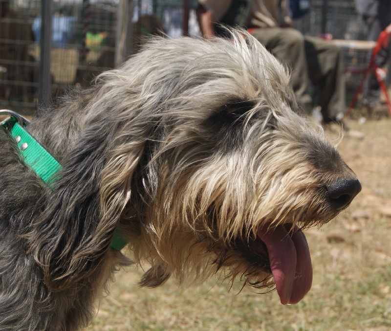 Publication : du roc d'Eden Auteur : Sylvie Hebert