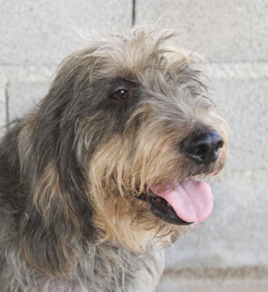 Publication : du roc d'Eden Auteur : Sylvie Hebert