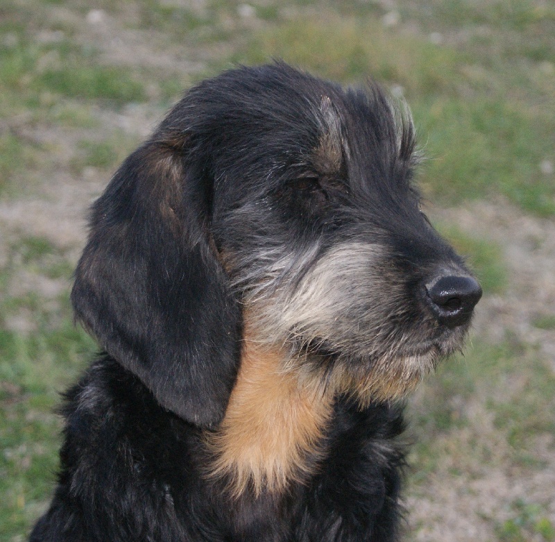 Publication : du roc d'Eden Auteur : Sylvie Hebert