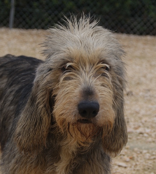 Publication : du roc d'Eden Auteur : Sylvie Hebert