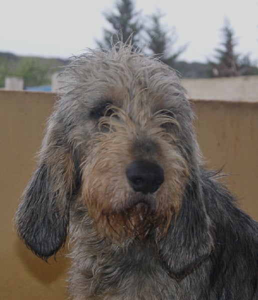 Publication : du roc d'Eden Auteur : Sylvie Hebert