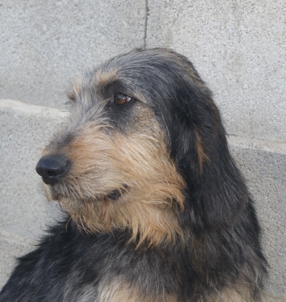 Publication : du roc d'Eden Auteur : Sylvie Hebert