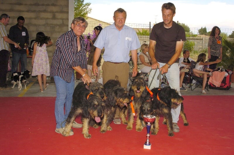Chiva du roc d'Eden - Meilleure meute