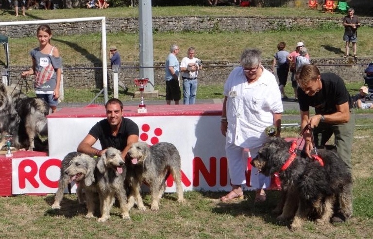Cyrus du roc d'Eden - 2è en classe élevage sur le ring d'honneur.