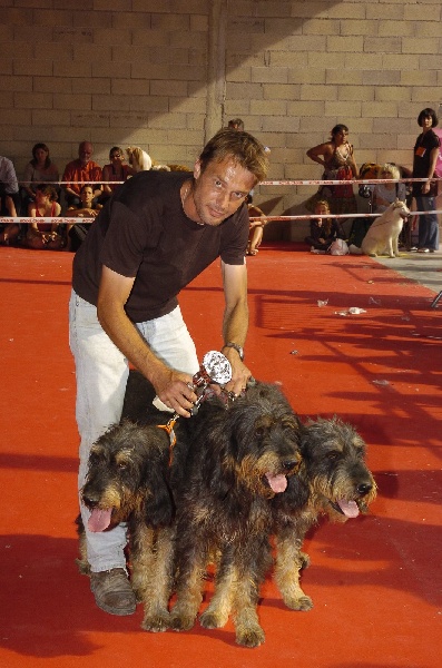 Cassius-clay du roc d'Eden - Meilleure classe d'élevage.