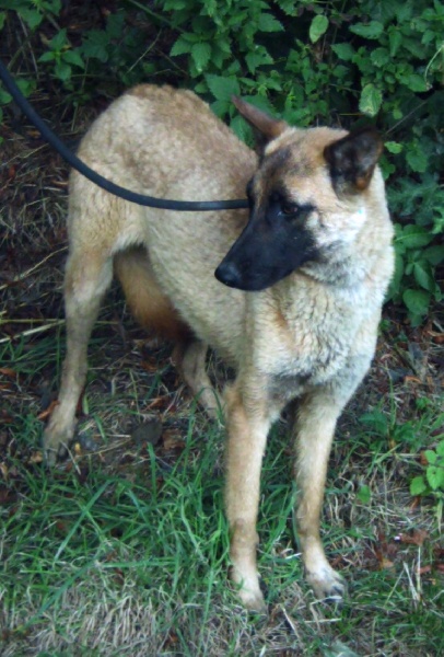 Publication : Du domaine de ceres