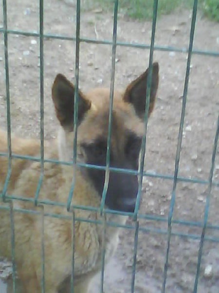 Publication : Du domaine de ceres