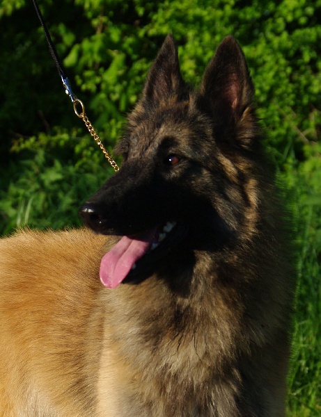 Publication : Du domaine de ceres Auteur : LAURIE MONCLAIRE