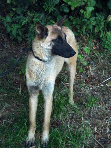 Publication : Du domaine de ceres