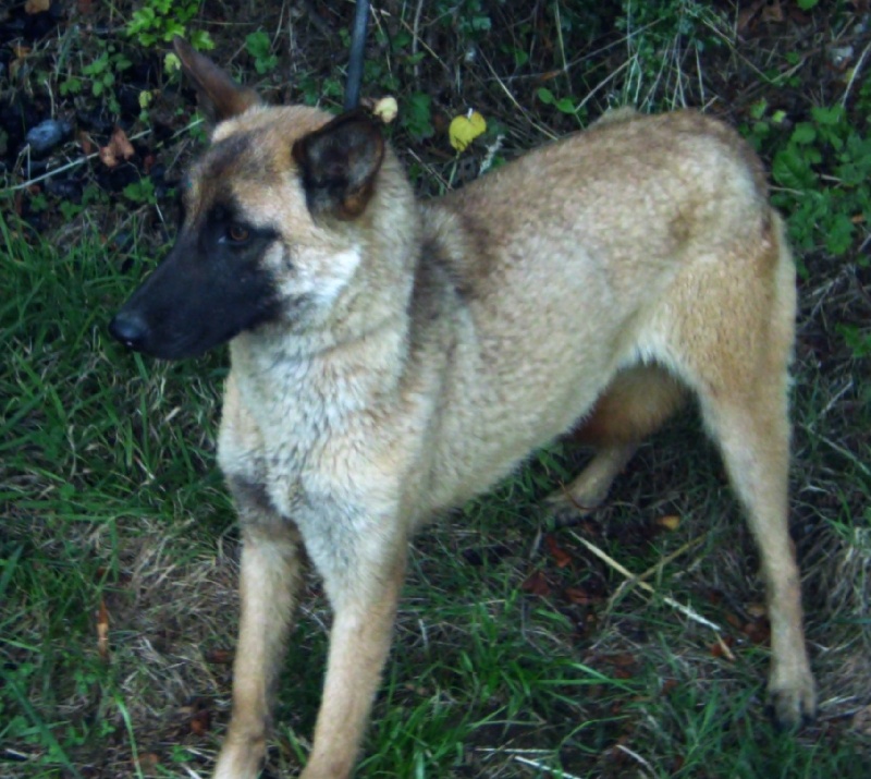 Publication : Du domaine de ceres