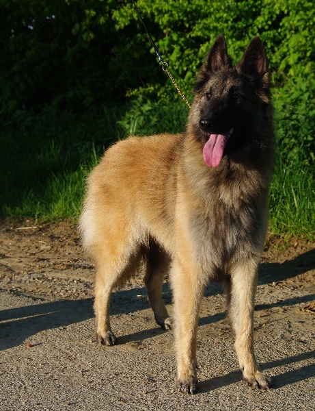 Publication : Du domaine de ceres Auteur : LAURIE MONCLAIRE